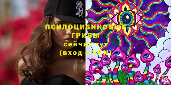spice Ступино