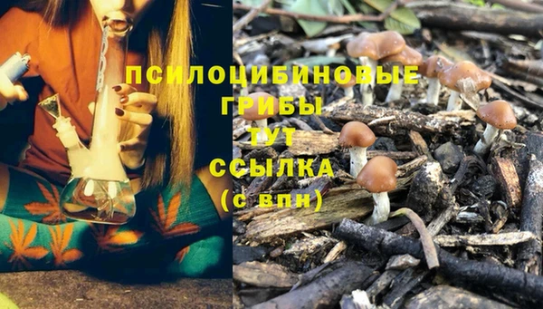 эйфоретик Струнино