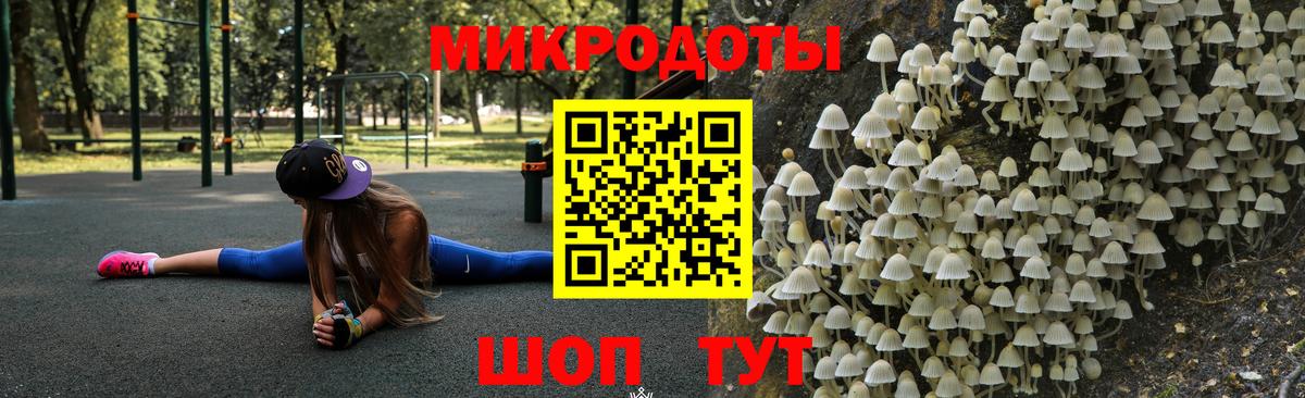 Галлюциногенные грибы Psilocybe  Псилоцибиновые грибы Psilocybe  Набережные Челны 
