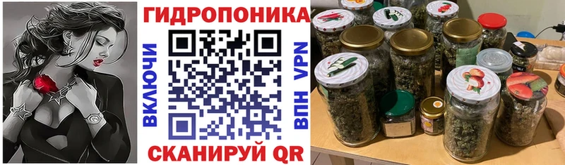 mega как войти  Набережные Челны  Бошки Шишки OG Kush 